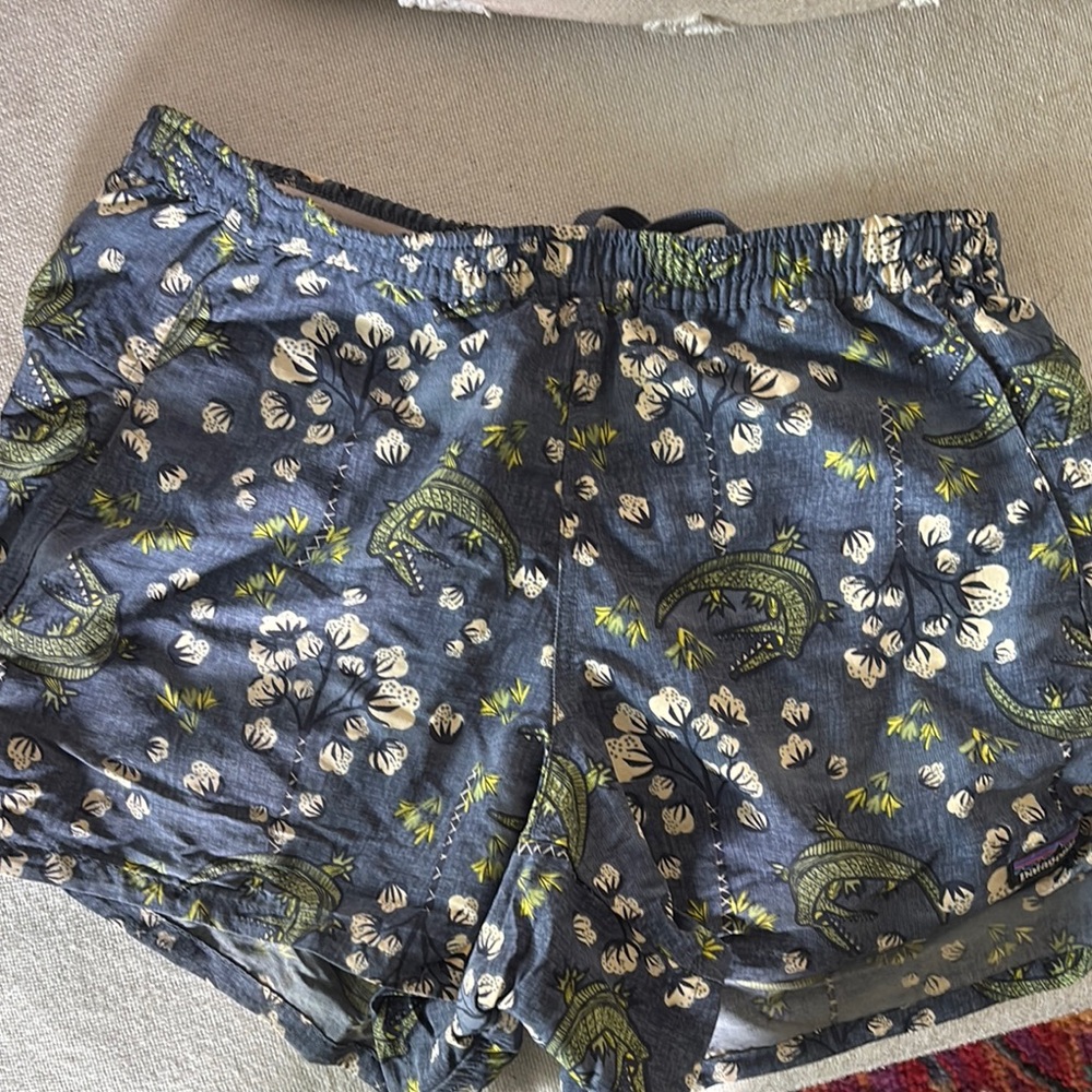 Patagonia Baggies - rare pattern
